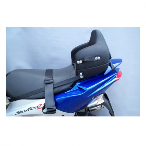 Kindersitz Dino für Roller,Quad,Motorrad Sitzumfang von 95cm